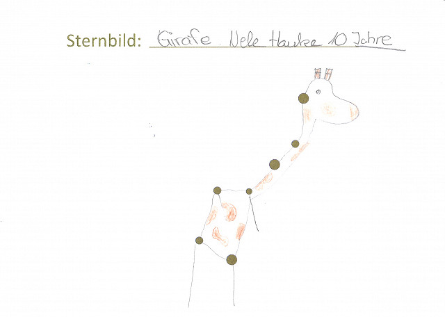 Sternbild “Giraffe”